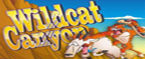 slot gratis wildcat canyon